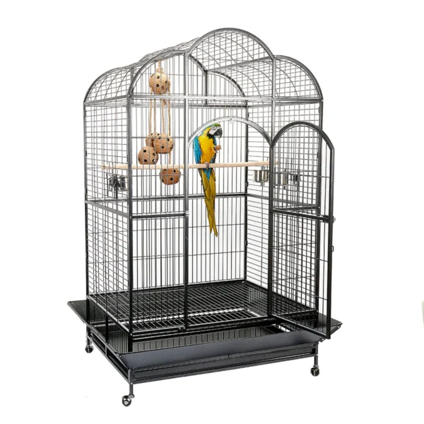 Liberta Atlantis, Liberta Atlantis Large Dome Top Parrot Cage, Parrot Cage near me, Parrot Cage for sale