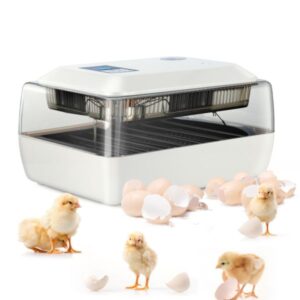 Digital Fully Automatic Egg Incubator, Digital Fully Automatic Egg Incubator for sale, Digital Fully Automatic Egg Incubator near me, Digital Fully Automatic Egg Incubator 24 Eggs Poultry Hatcher